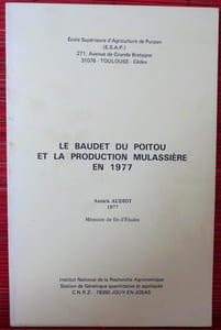 LE BAUDET DU POITOU ET LA PRODUCTION MULASSIÈRE EN 1977.