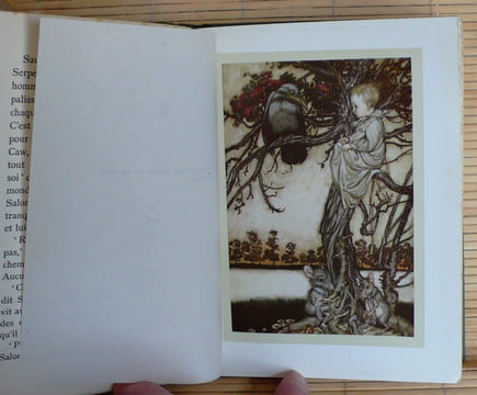 PITER PAN DANS LES JARDINS DE KENSINGTON. BARRIE, J. M.
