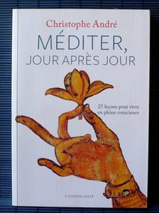 MÉDITER JOUR APRÈS JOUR
