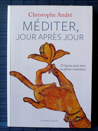 MÉDITER JOUR APRÈS JOUR