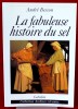 LA FABULEUSE HISTOIRE DU SEL . BESSON, André
