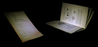 Monographie des bixacées, cistacées et violacées.