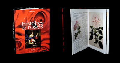 Histoires de roses.