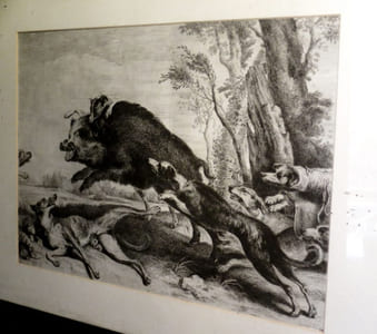 La Chasse au sanglier.