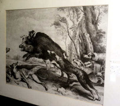 La Chasse au sanglier.. SNYERS / SNYDERS / SNEIDERS/ SNEIS / SNIJDERS (Franz ou François, d'après) - VIVANT-DENON (Dominique, gravée par).