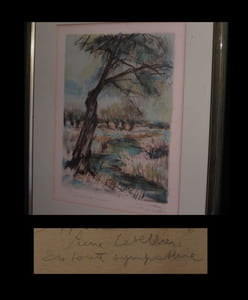 [Lithographie signée :] Le Saule dans le marais.