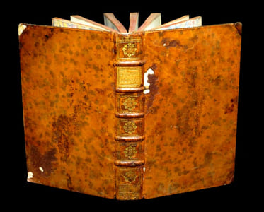 Dictionnaire néologique à l'usage des beaux-esprits du siècle avec L'Eloge historique de Pantalon-Phoebus [...].
