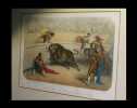 [Lithographie en couleurs] Corrida de toros : Suerte de Capa (Banderillero excitant le taureau). . DORE (Gustave).