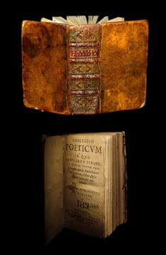 Amaltheum poeticum in quo fabularum synopsis et copia vocum propriarum, quae in Poetis habent obscuritatem, ordine alphabetico explicata ...