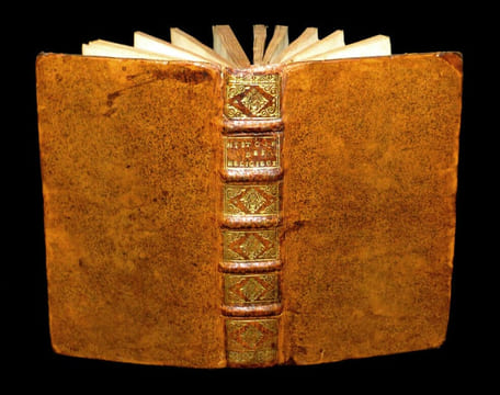 Histoire de l'établissement des ordres religieux et des congrégations régulières et séculières de l'Eglise avec L'Eloge et la vie en abrégé de leurs ...
