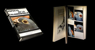Aspects de la colombophilie.