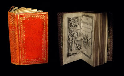 La Henriade, avec les variantes [Edition dite La Henriade des Damnés].