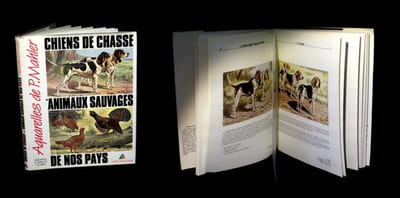 Chiens de chasse et animaux sauvages de nos pays.