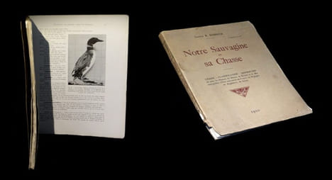 Notre sauvagine et sa chasse - Chasse, classification et description de tous les oiseaux de marais, de rivière et de mer susceptibles d'être ...