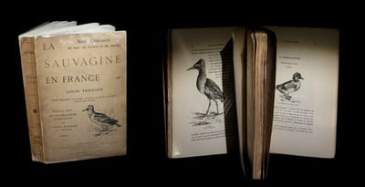 La Sauvagine en France : Chasse, description et histoire naturelle de toutes les espèces visitant nos contrées.