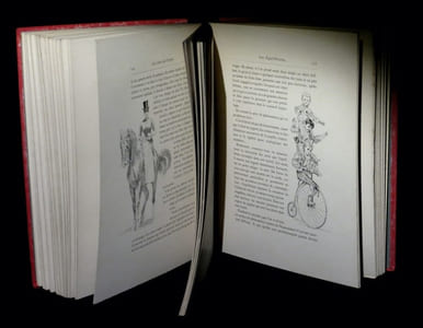 Les Jeux du cirque et la vie foraine.