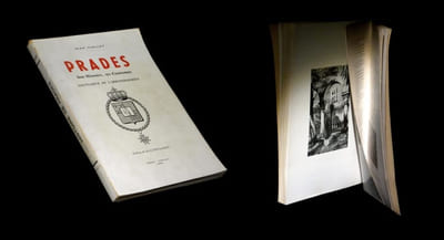 Prades : son histoire, ses coutumes, hauts-lieux de larrondissement.