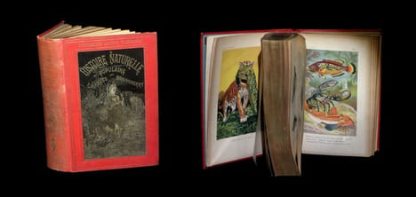 Histoire naturelle populaire - L'Homme et les animaux.. BRONGNIART (Charles).