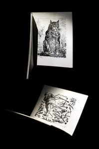 40 (Quarante) dessins de Picasso  en marge du Buffon.