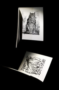 40 (Quarante) dessins de Picasso en marge du Buffon.. PICASSO (Pablo, ill. de) - BUFFON (Georges-Louis LECLERC, Comte de).