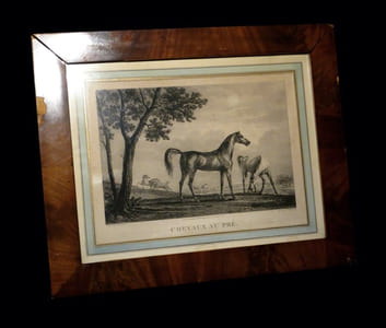 [Aquatinte signée dans la plaque et titrée :] Chevaux au pré.