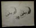 Planche d'anatomie figurant deux crânes et un globe oculaire.. PERROT (gravée par).