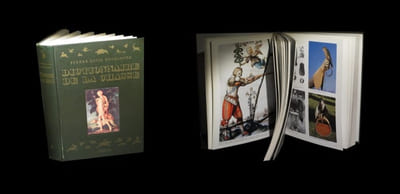 Dictionnaire analogique de la chasse, historique et contemporain.