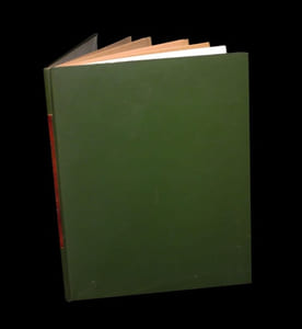 Napoléon à Versailles et Trianon  - Tilsit  - Bonaprte au Luc - Ardnt et Napoléon [in Revue des Etudes napoléoniennes].