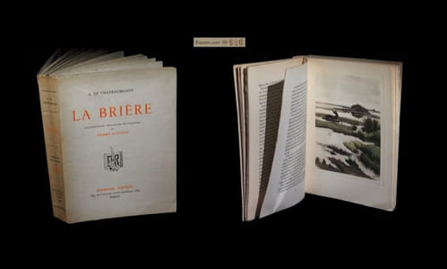 La Brière.