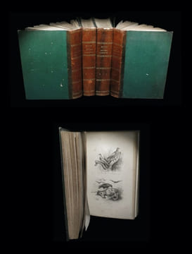 Oeuvres complètes de Buffon avec les suites.. BUFFON (Georges-Louis LECLERC, Comte de) - ADAM (Victor-Jean, ill. de).