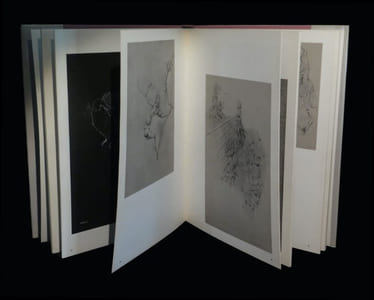 Les Dessins de Hans Bellmer.