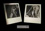 Images d'une femme - Vingt-quatre [24] études de nu.. VERNEUIL (Maurice Pillard) - ROMAINS (Jules, avant-propos de).