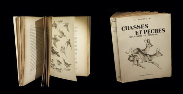 Chasses et pêches - Souvenirs et croquis.