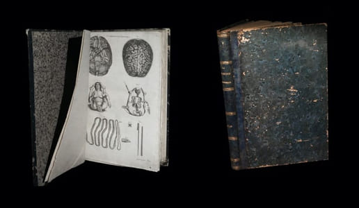 La Médecine pittoresque [Atlas seul].