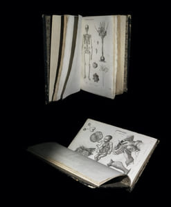 La Médecine pittoresque [Atlas seul].