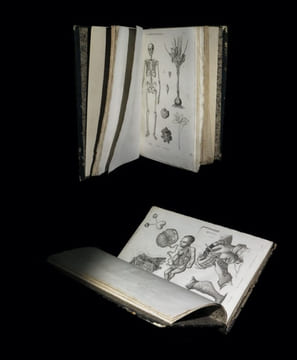 La Médecine pittoresque [Atlas seul].. [BAYLE (Laurent-Antoine)].