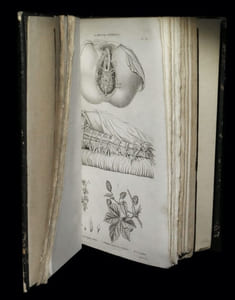 La Médecine pittoresque [Atlas seul].