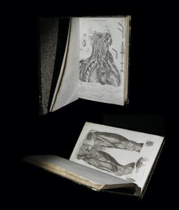 La Médecine pittoresque [Atlas seul].