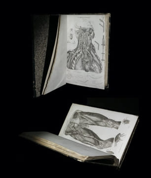 La Médecine pittoresque [Atlas seul].. [BAYLE (Laurent-Antoine)].
