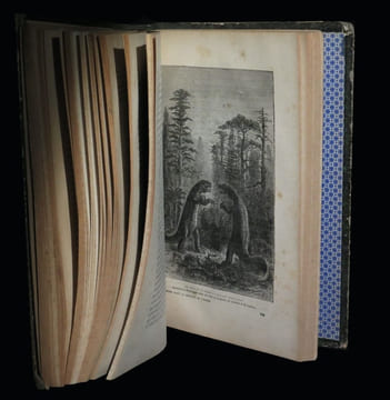 Le Monde avant la création de l'homme -Origines de la Terre - Origines de la vie - Origines de l'humanité.. FLAMMARION (Camille).