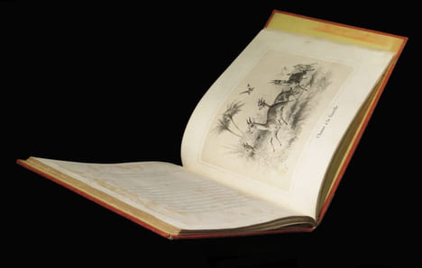 Chasses en Afrique.. CASTILLON (A.) - ADAM (Victor, lithographies de).