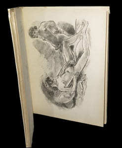 Ce qu'il faut dire Et ne pas dire !... en 60 lithographies.
