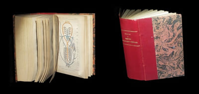 Eléments d'anatomie comparée.