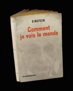 Comment je vois le monde.