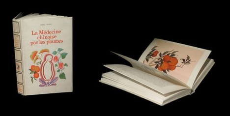 La Médecine chinoise par les plantes.. WONG (Ming).