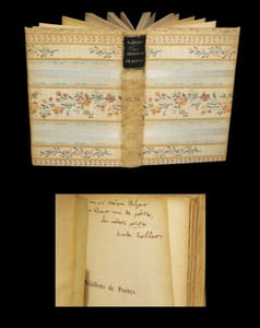 Médaillons de Poètes (1800 - 1900) - La Génération romantique - Parnassienne - Contemporaine. 