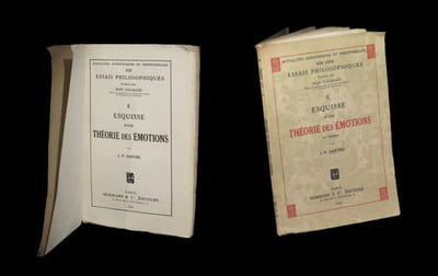 Esquisse d'une théorie des émotions. 