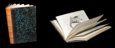 La Curée  [in Les Rougon-Macquart].