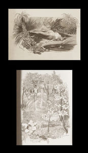 La Curée  [in Les Rougon-Macquart].