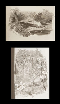 La Curée  [in Les Rougon-Macquart].